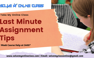 Last Minute Assignment Tips