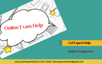 Take my online Literature class for me    