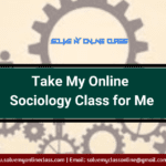 Take my Online Sociology Class for Me
