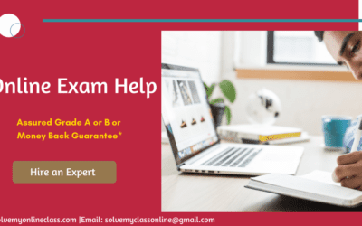 Take My Online Sociology Class for Me         