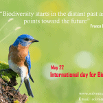 International Day for Biological Diversity   