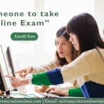 Pay Someone to take My Online Exam         