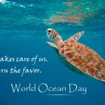 World Oceans Day     