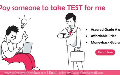 Pay Someone to take My Online Test for Me                