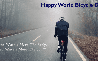 World Bicycle Day      