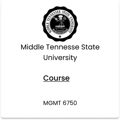 Middle Tennesse State University, MGMT 6750