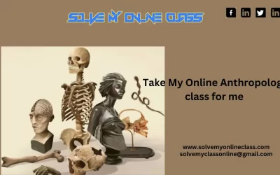 Take My Online Anthropology Class For Me