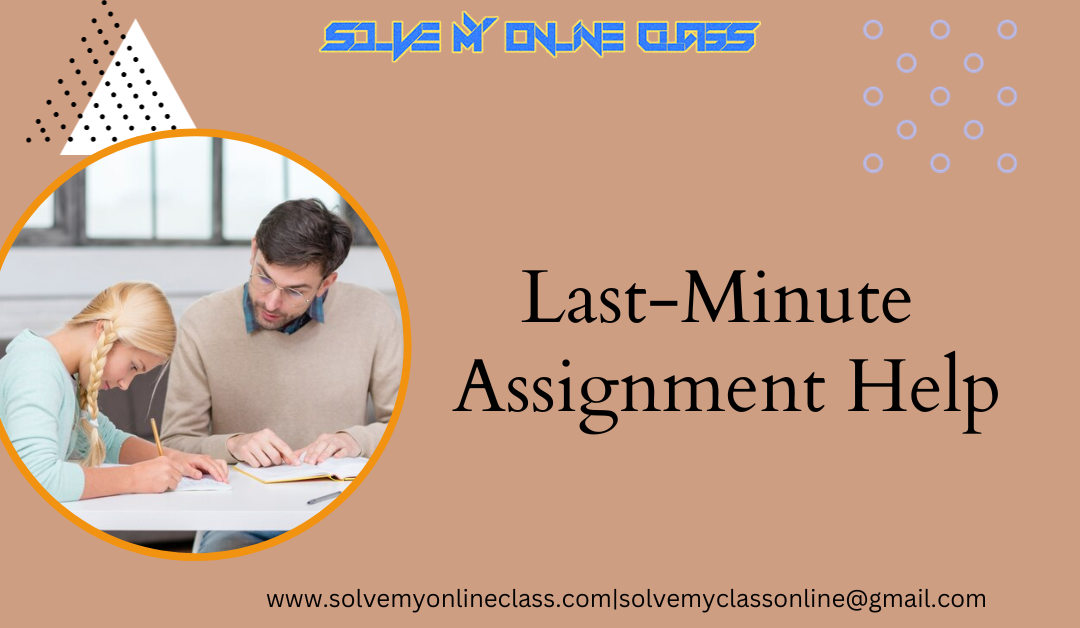 Last-Minute Assignment Help