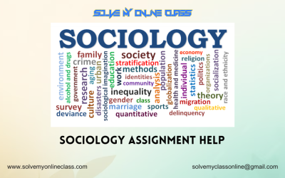 Sociology Assignment help