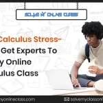 Ace Calculus Stress-Free: Get Experts To Do My Online Calculus Class