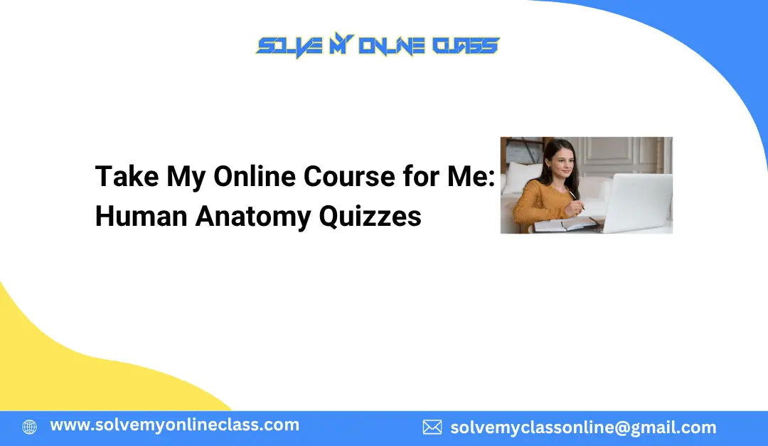 Take My Online Course for Me: Human Anatomy Quizzes